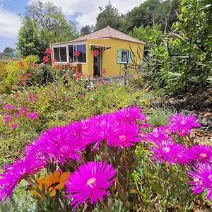 Iraña Del Bosque Apartamento Breña Baja